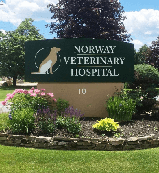 Norway Veterinary Hospital Front View